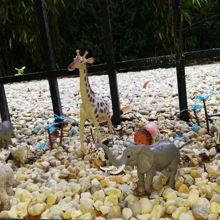 Et Centre à 15 Minutes à Pied - Stationnement Gratuit Et Facile *